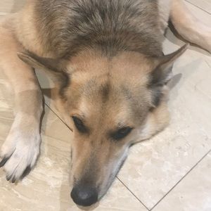 Meet your Posher, Erina